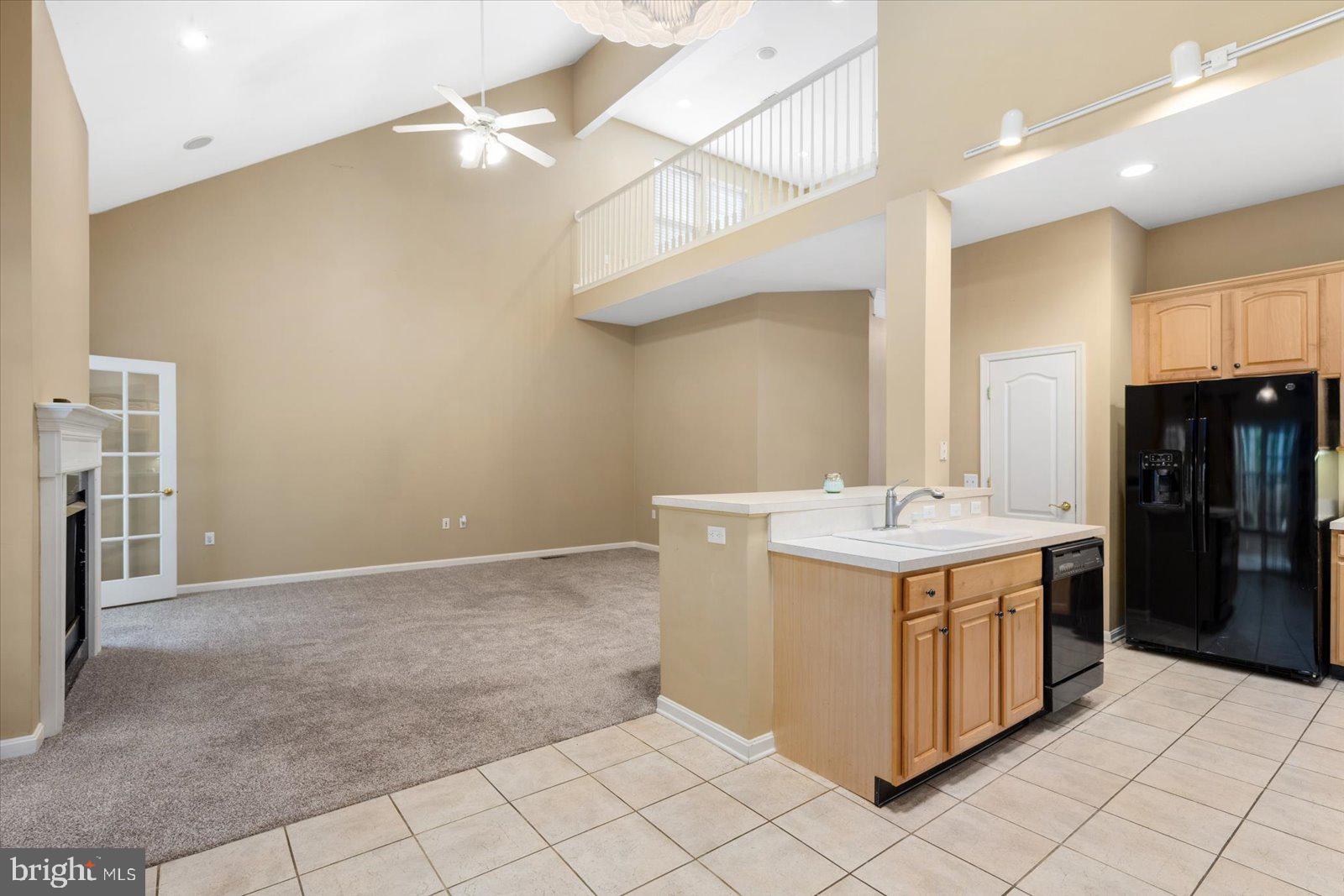 OCEAN PINES - THE PARKE - Residential