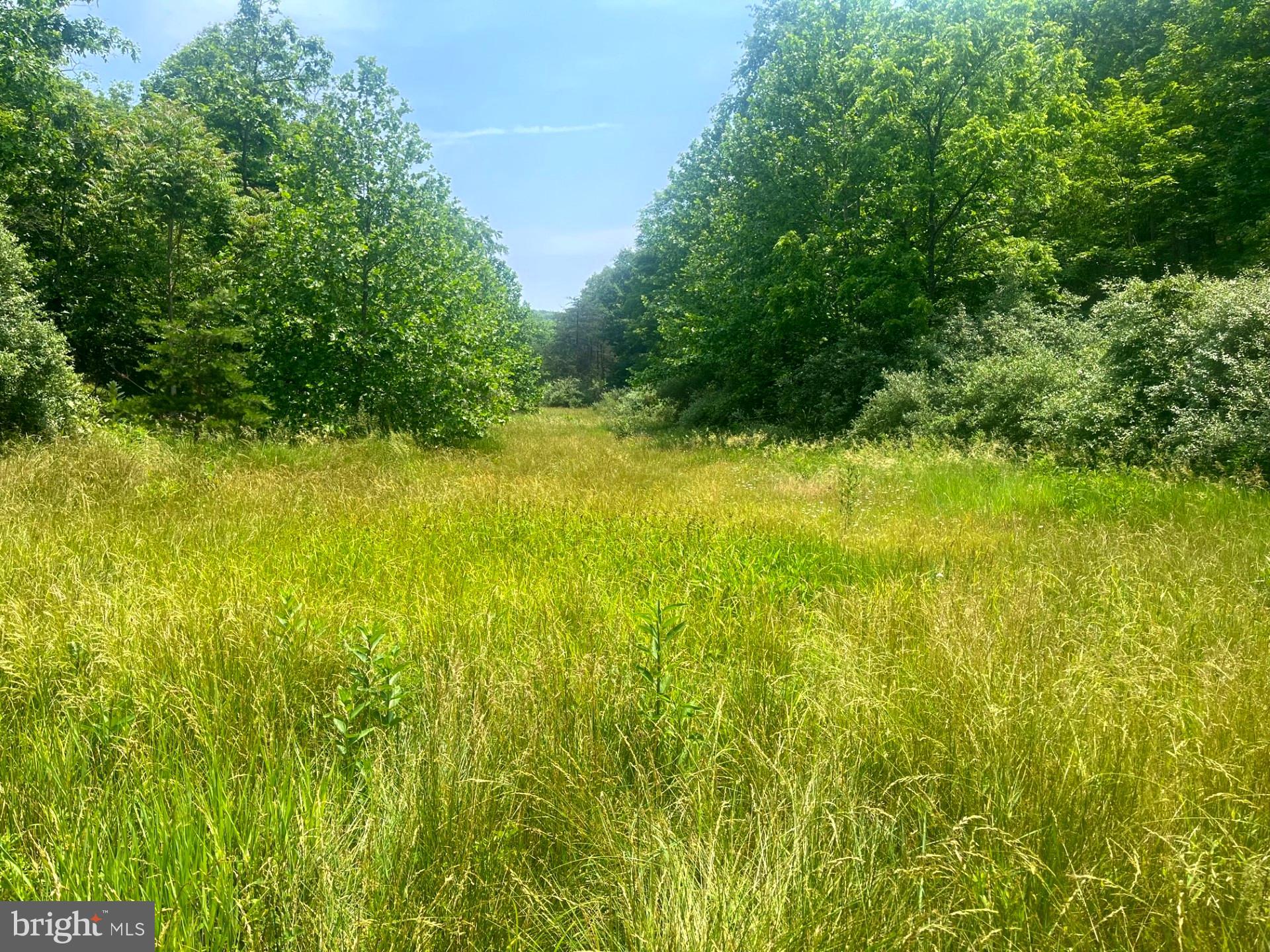 Prime Country! 73 unrestricted Acres with everything a person could want. Potential views, multiple build sites, a seasonal stream, hunting, and easy access back into the town of Fort Ashby. Internal roads allow for access to all parts of the property. Get lost in the mountains! No neighbors in sight, do whatever your heart desires. Easy access into the Metropolitan area. This is what everyone wants but no one can find, until now! Discover West Virginia, the wild west of the east!