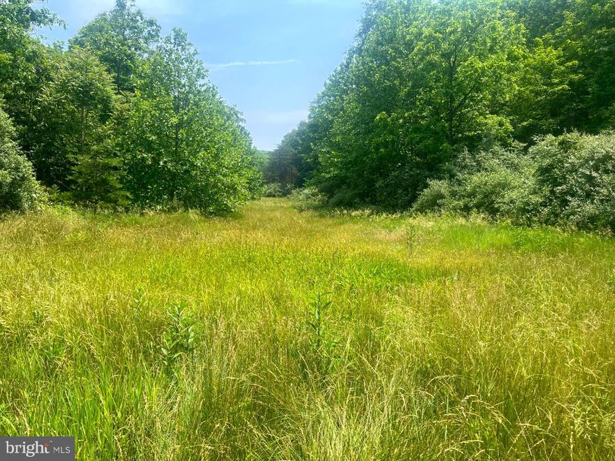 Prime Country! 73 unrestricted Acres with everything a person could want. Potential views, multiple build sites, a seasonal stream, hunting, and easy access back into the town of Fort Ashby. Internal roads allow for access to all parts of the property. Get lost in the mountains!  No neighbors in sight, do whatever your heart desires.   Easy access into the Metropolitan area. This is what everyone wants but no one can find, until now! Discover West Virginia, the wild west of the east!
