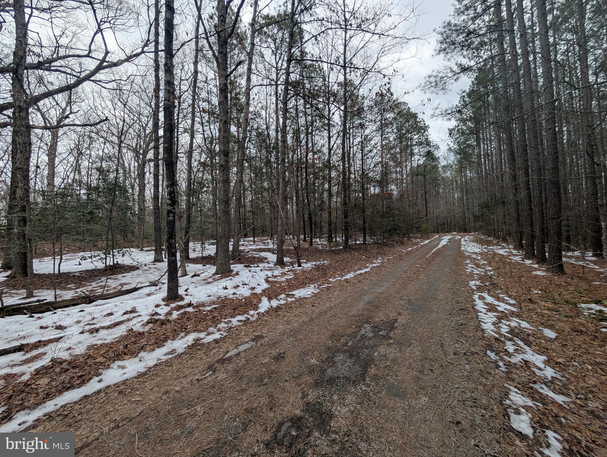 MATTAPONI TRAIL