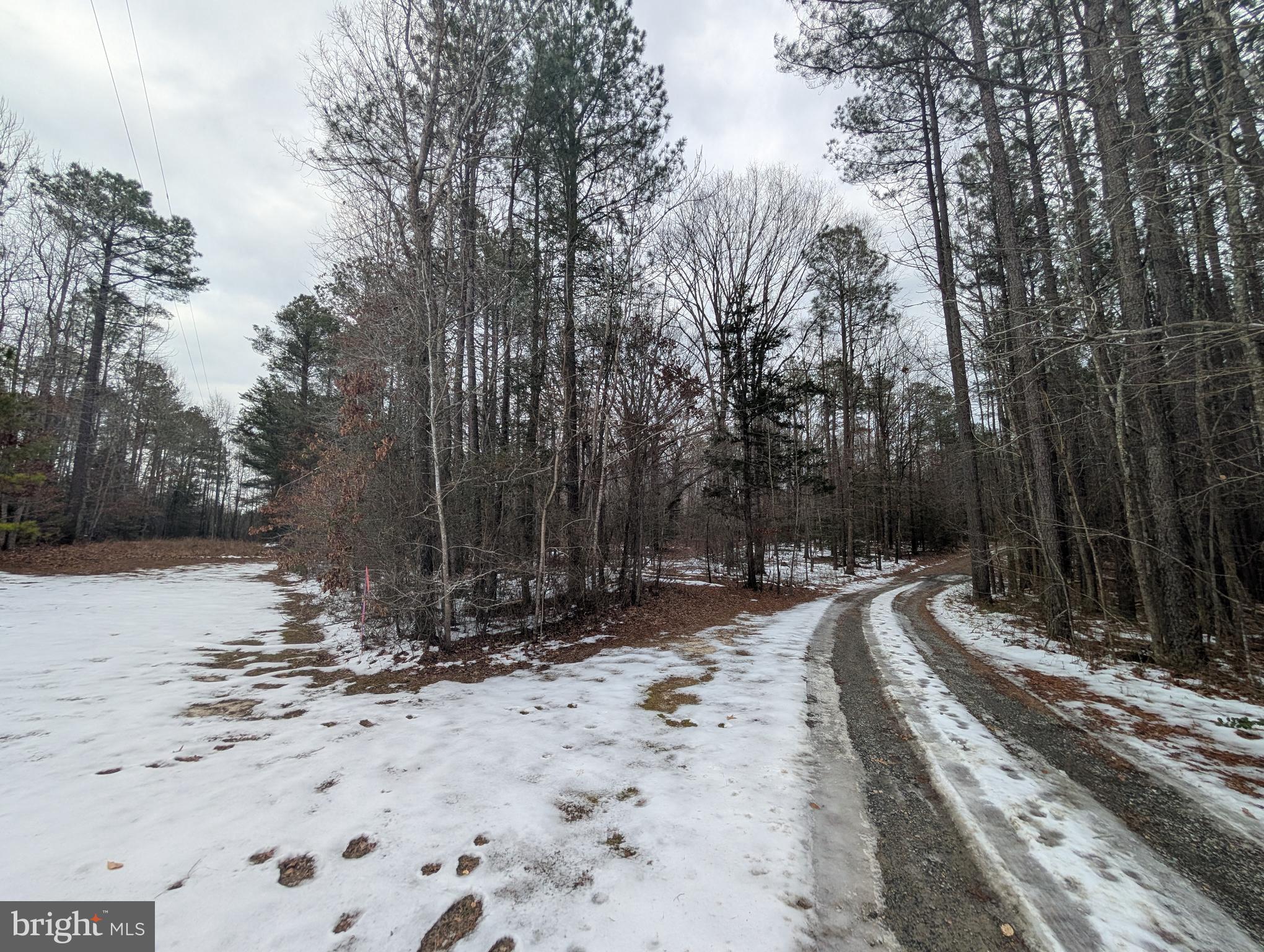 MATTAPONI TRAIL