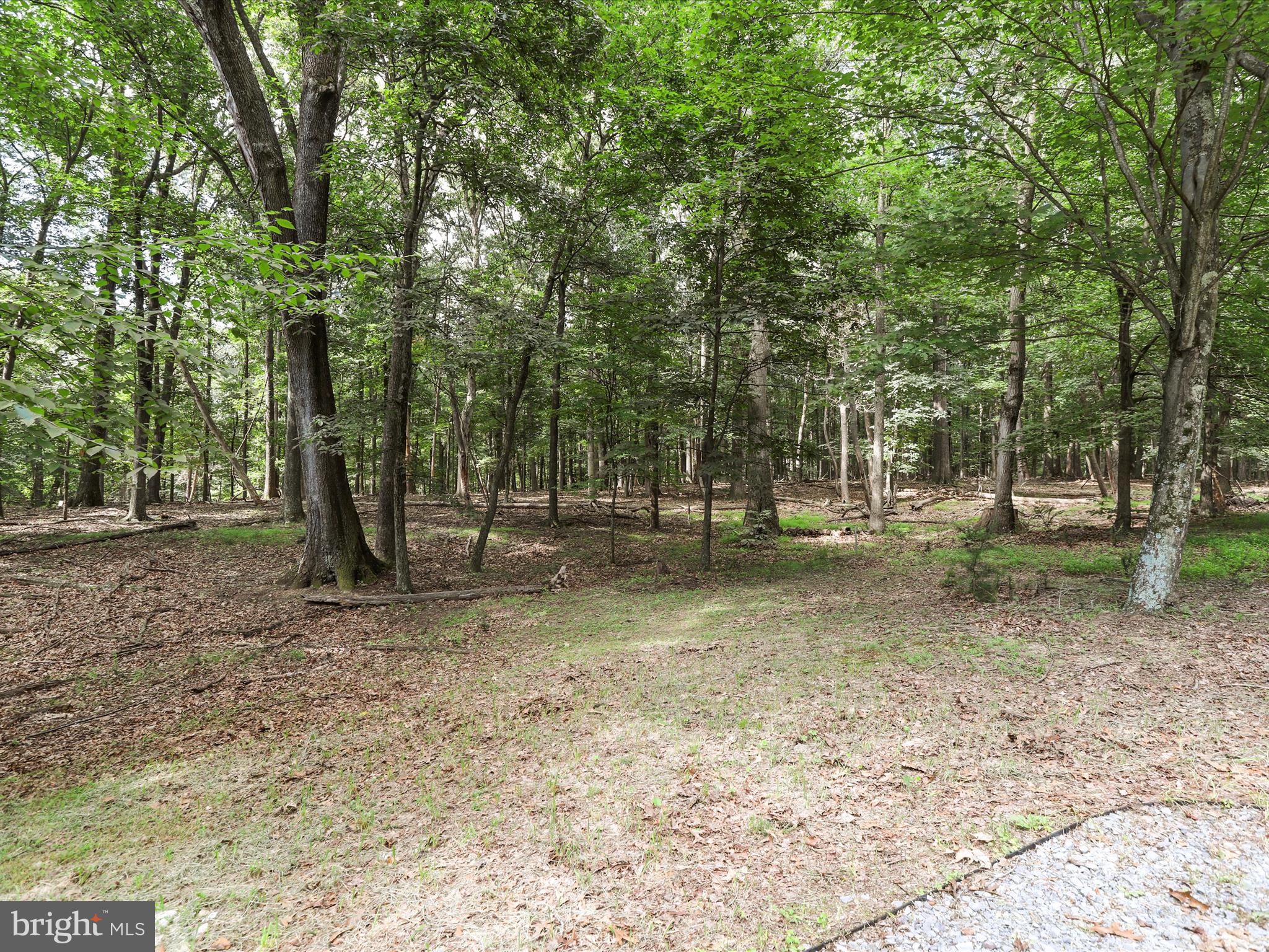 THE WOODS - Residential