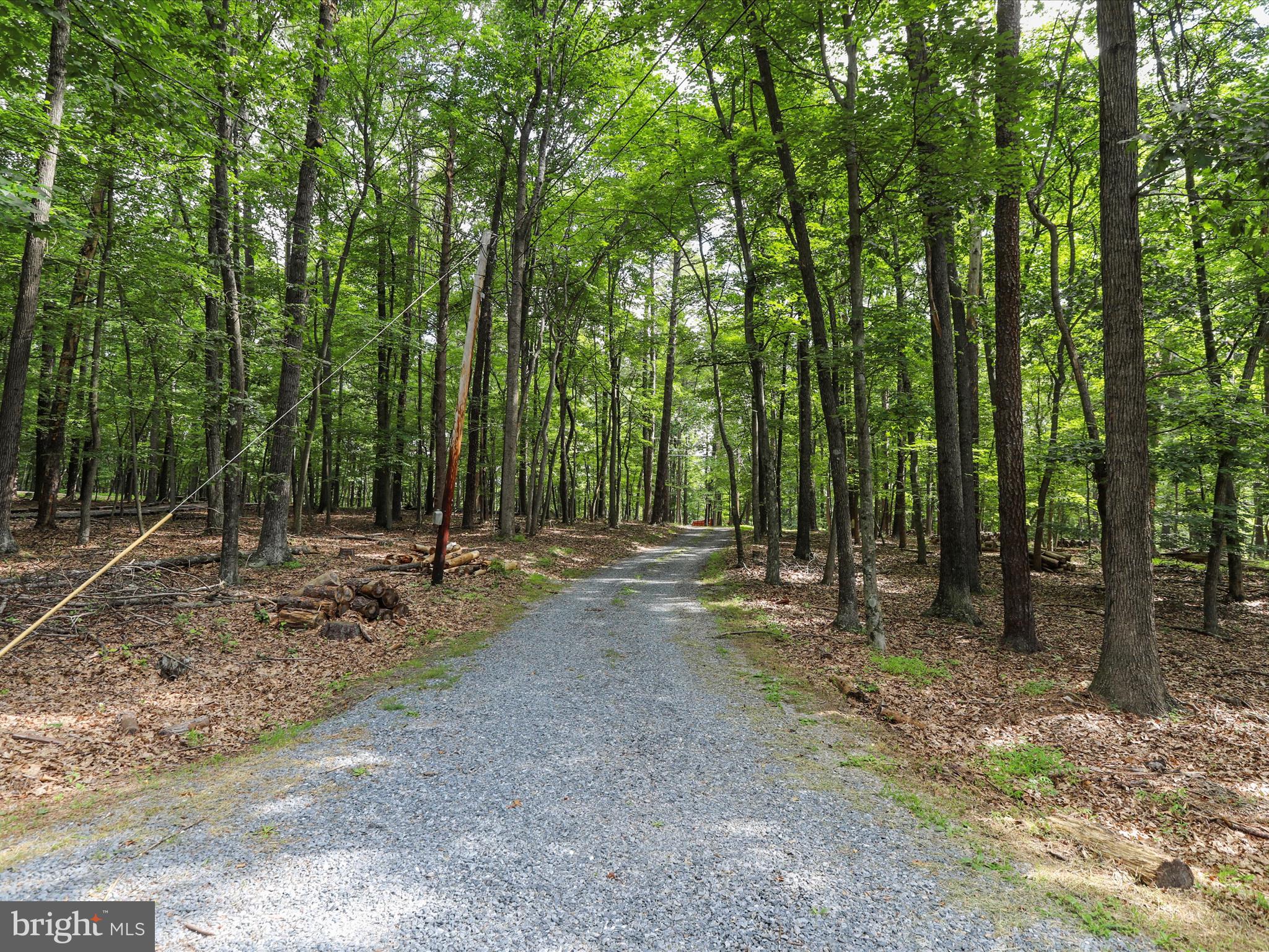 THE WOODS - Residential