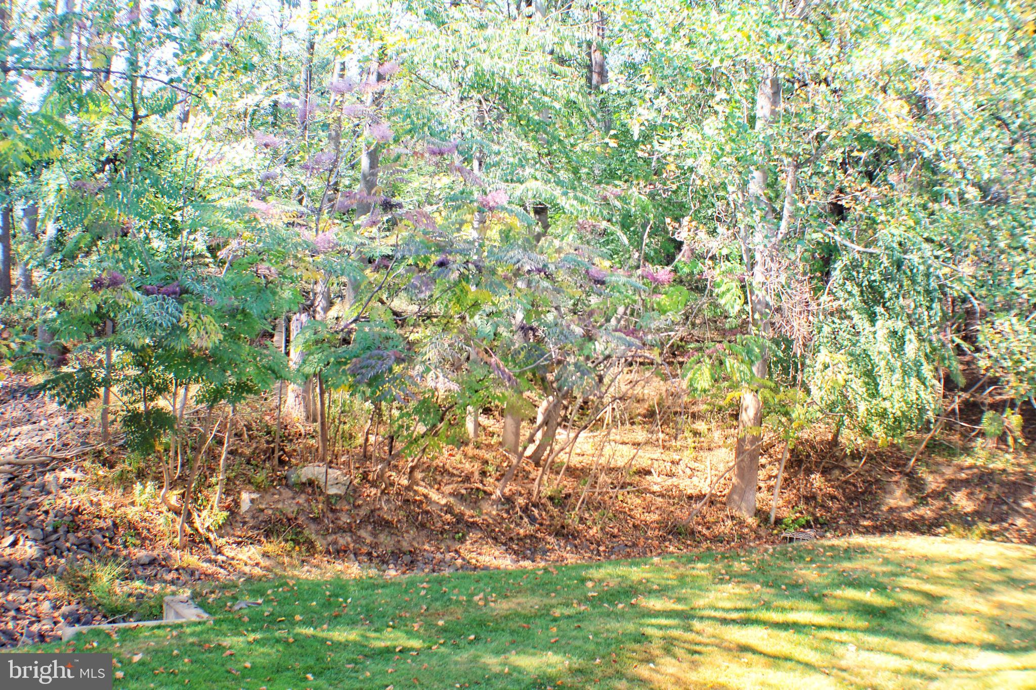 1244 COUNTRY CLUB DRIVE