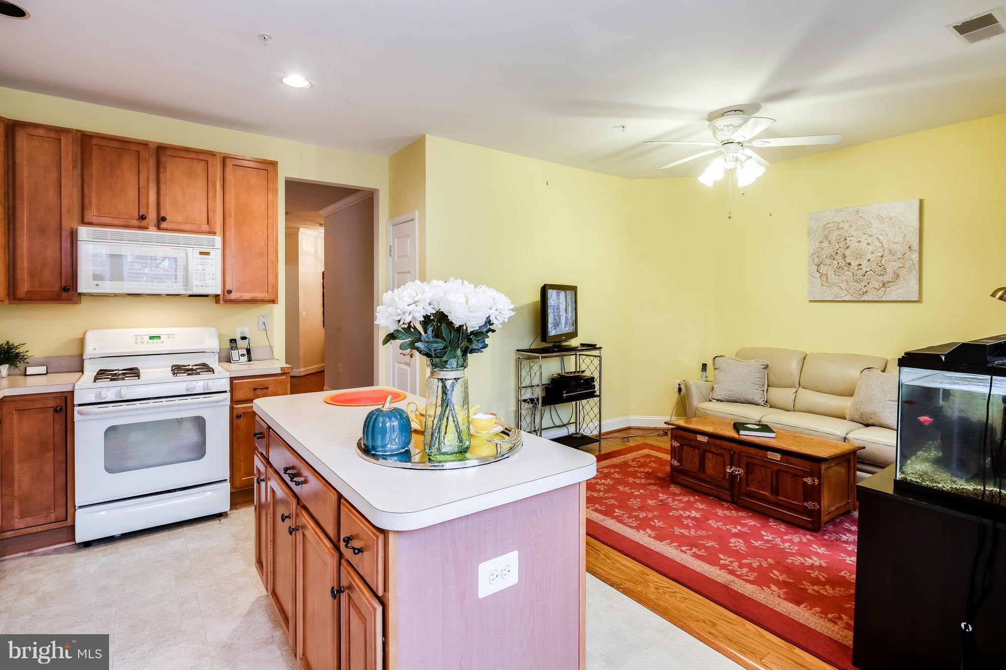 ELLICOTT HILLS - Residential