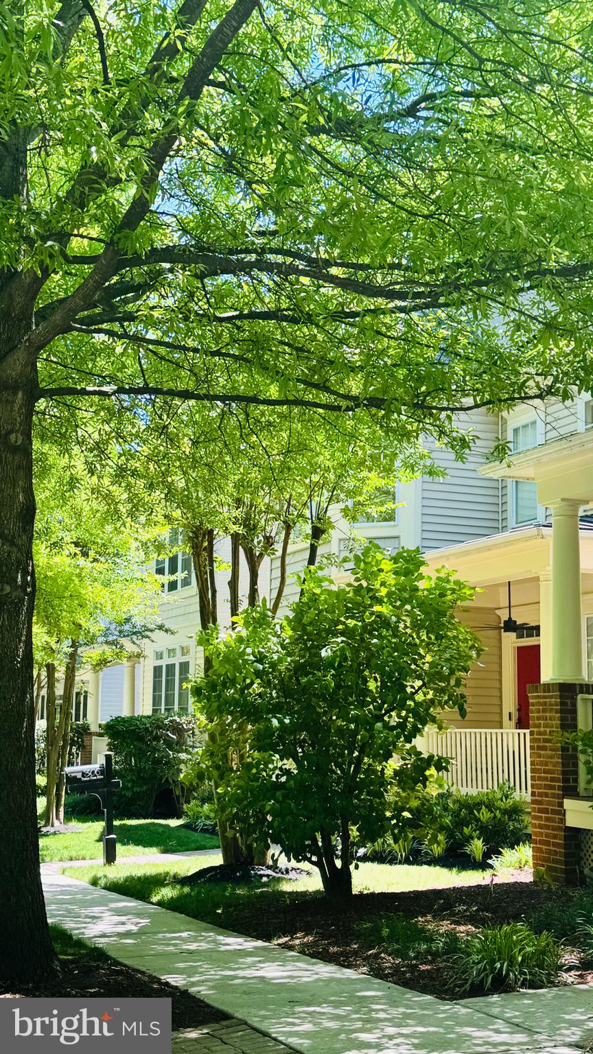 KING FARM WATKINS POND - Residential