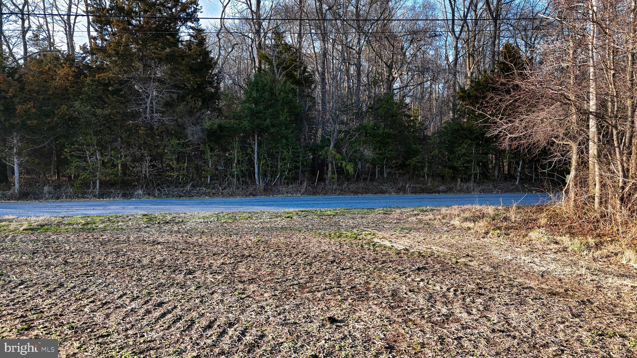 989 PICKERING BEACH ROAD