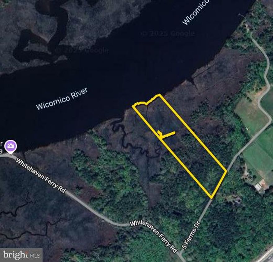 10.00 +/- acre Lot - 5 on Five Farms Drive with approved perc (see uploaded documents or Listing Agent). This lot is completely wooded on Five Farms Drive. Only a mile to the Whitehaven Ferry on the Wicomico River, this is ideal habitat for waterfowl, whitetail, sika, and turkey. Approximately 6.5 miles from Rt 13, this lot is within 10 minutes of shopping, healthcare, and other amenities. Also, it is five miles to the public boat ramp and less than 13 miles to the Wicomico Yacht Club. No HOA. Please call to schedule a property visit.