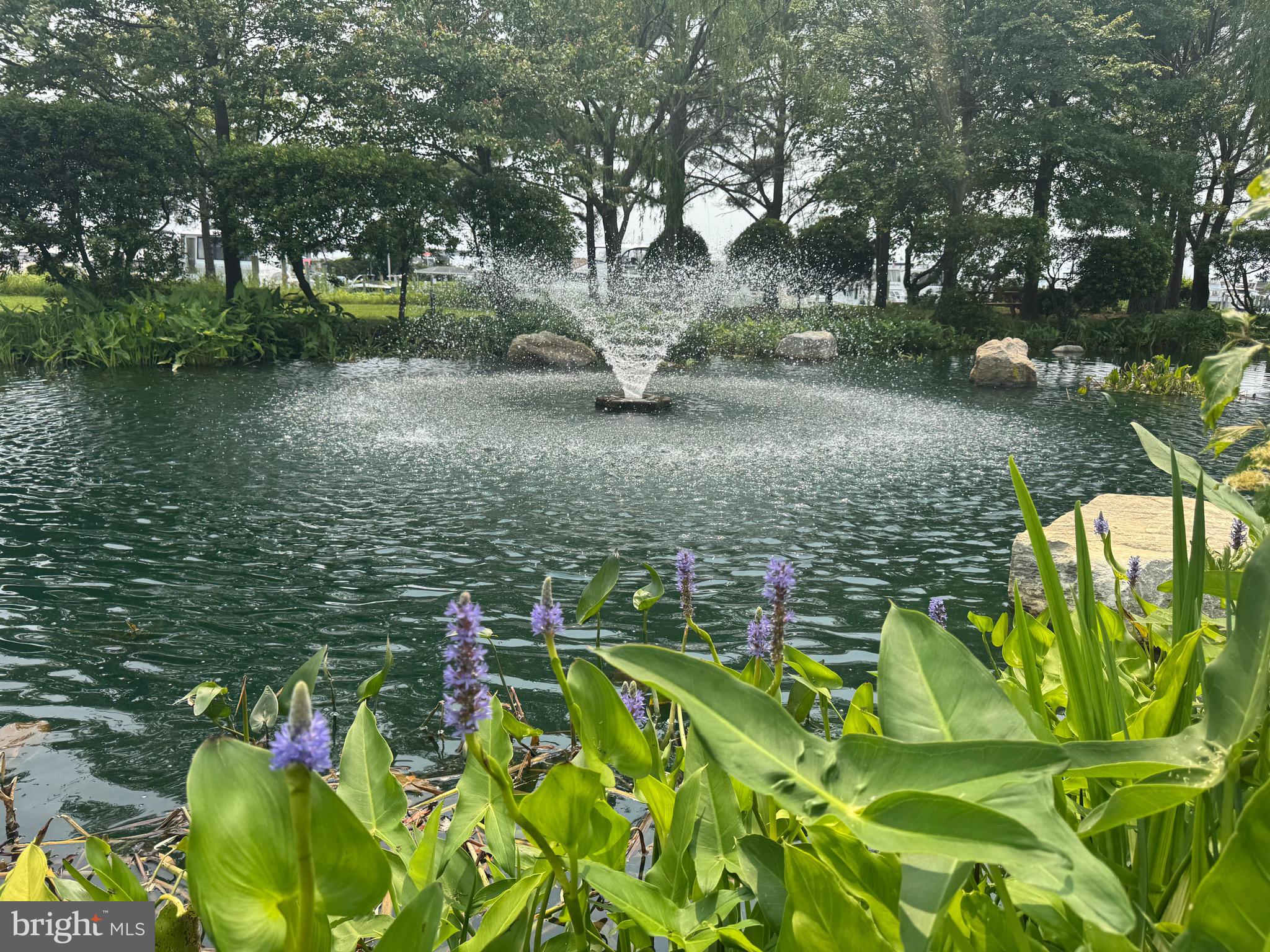 NARROWS POINTE - Residential