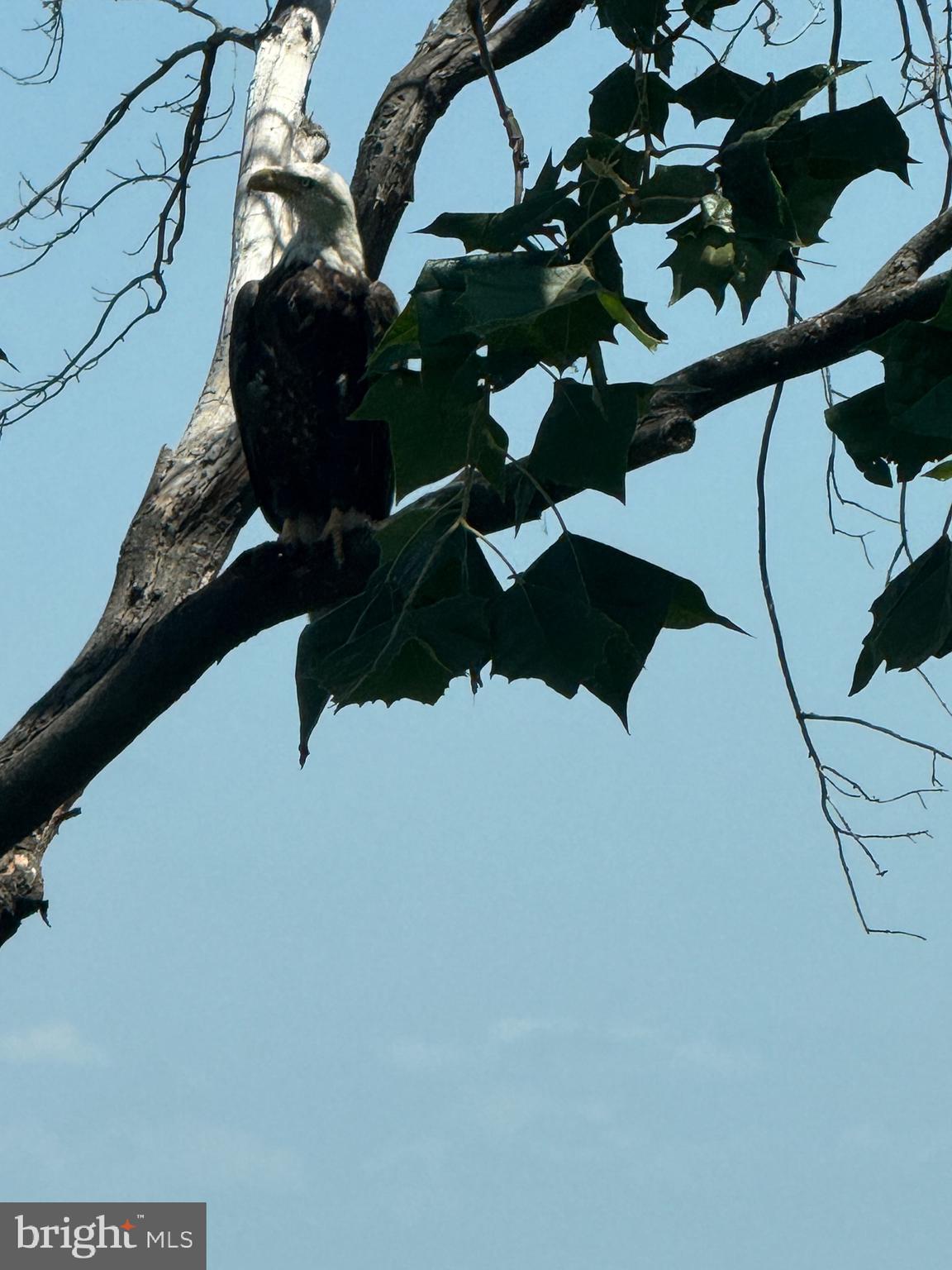 NARROWS POINTE - Residential