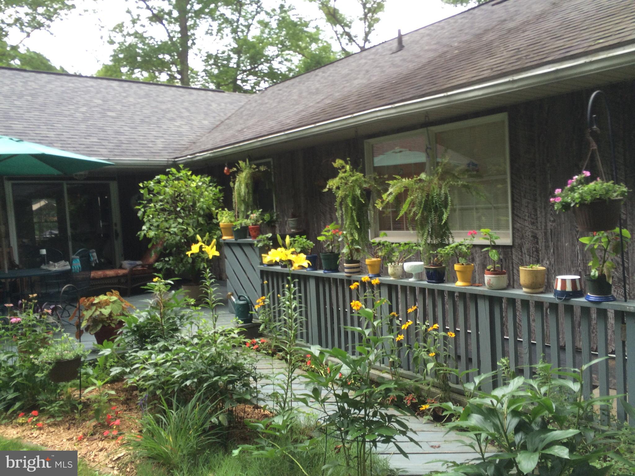 BEL AIR - Residential