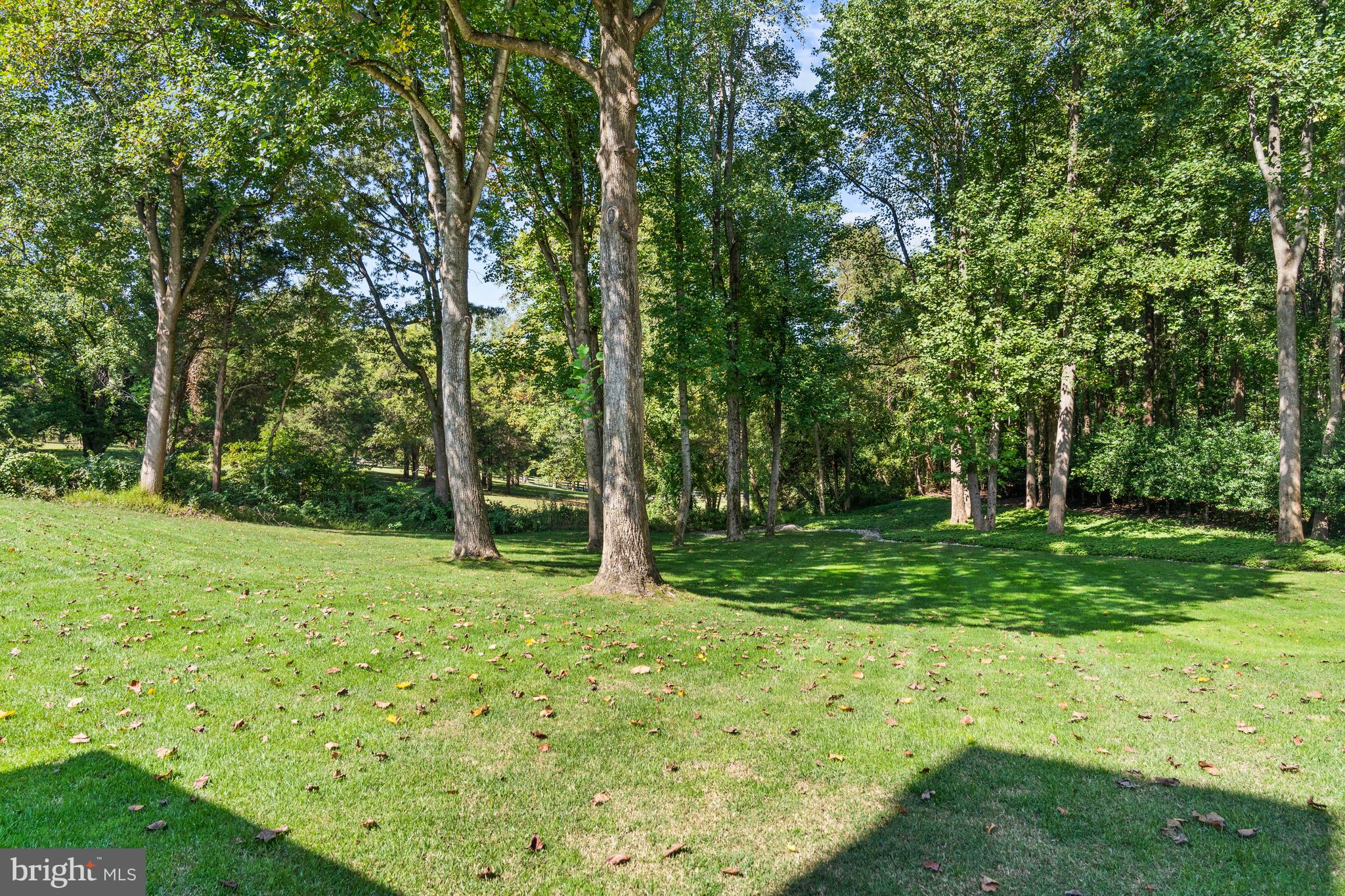 SADDLE RIDGE - Residential