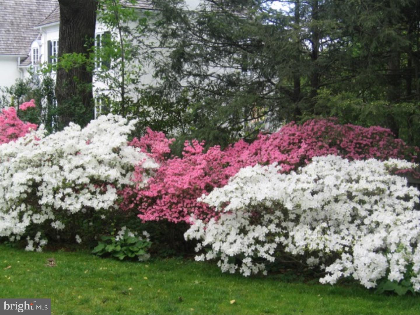 RITTENHOUSE ARBOR - Residential