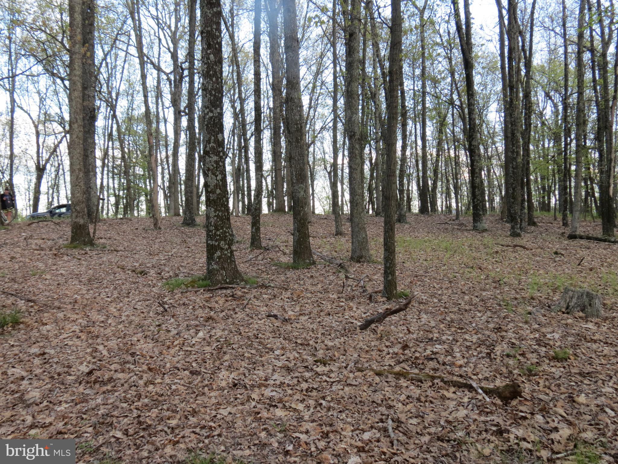 SPRING MOUNTAIN - Land