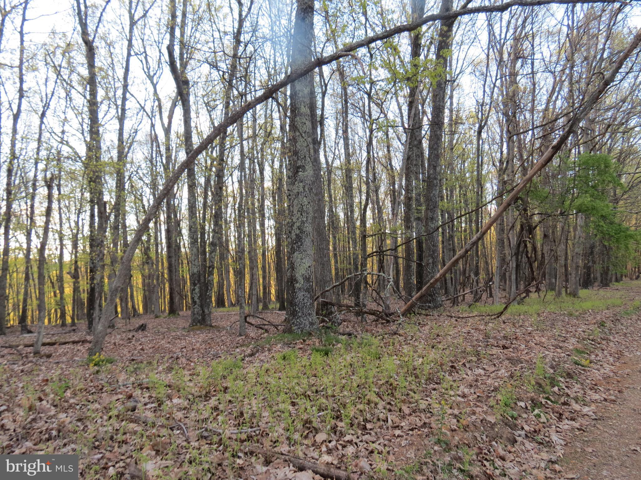 SPRING MOUNTAIN - Land