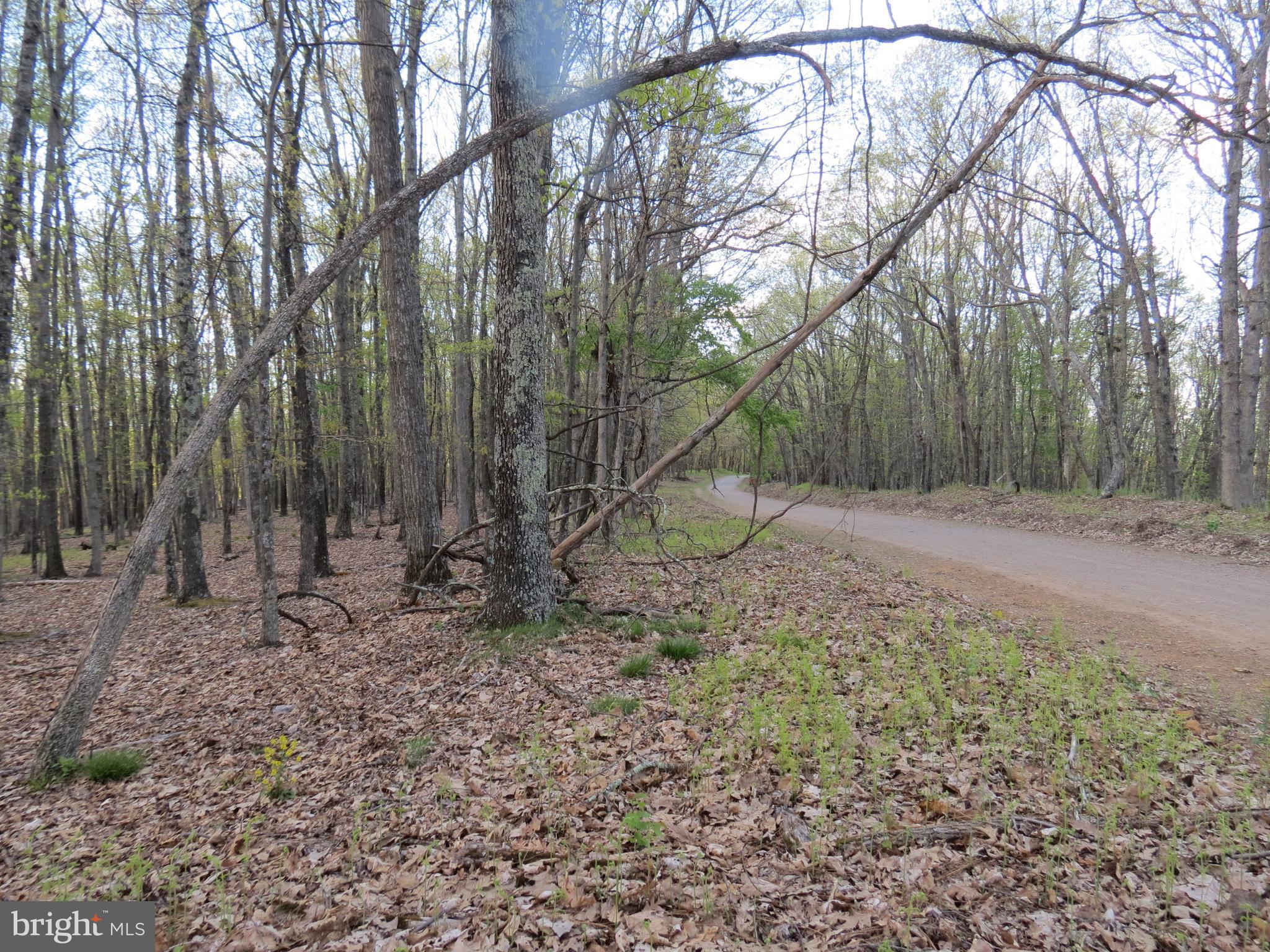 SPRING MOUNTAIN - Land