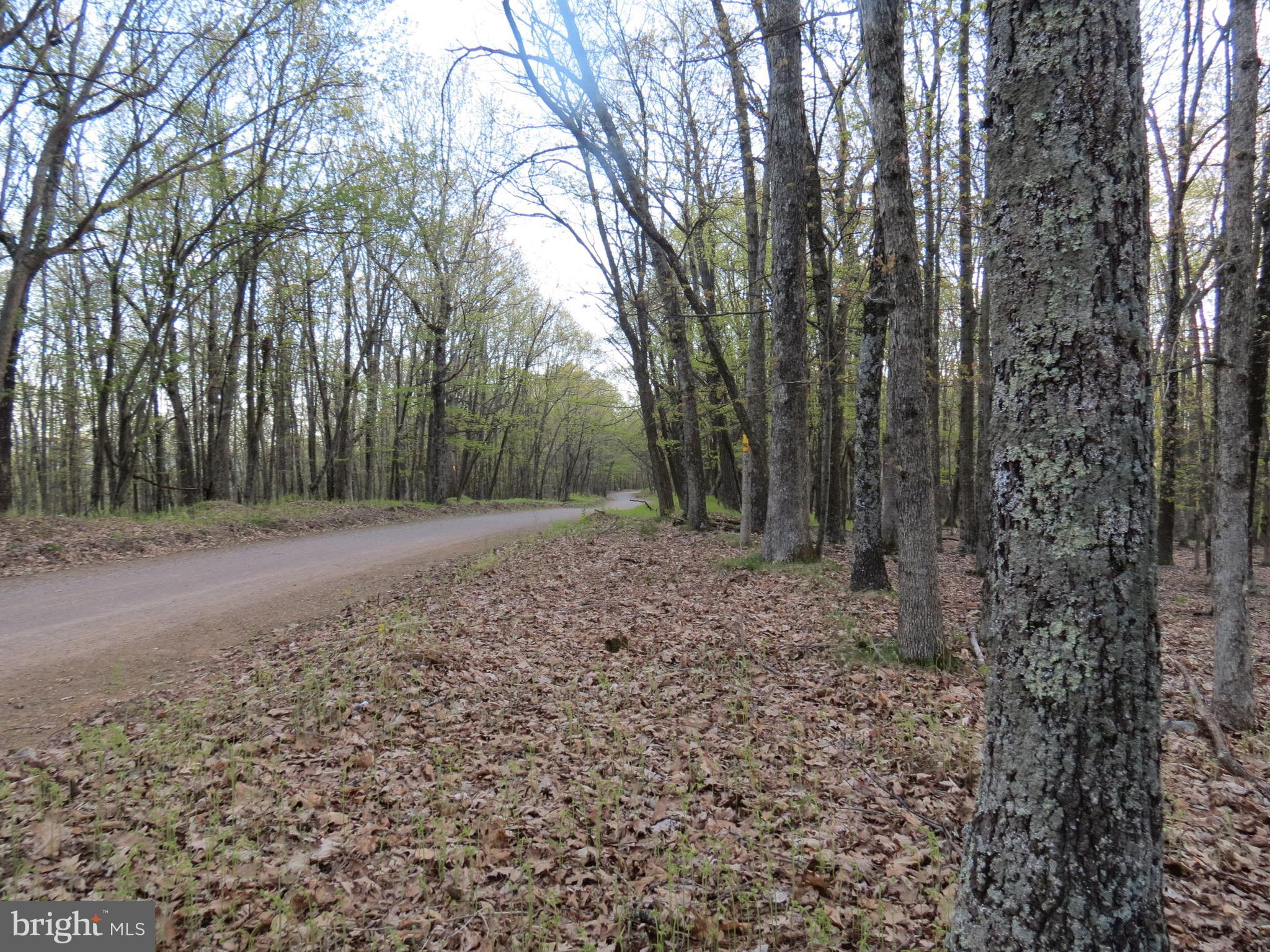 SPRING MOUNTAIN - Land