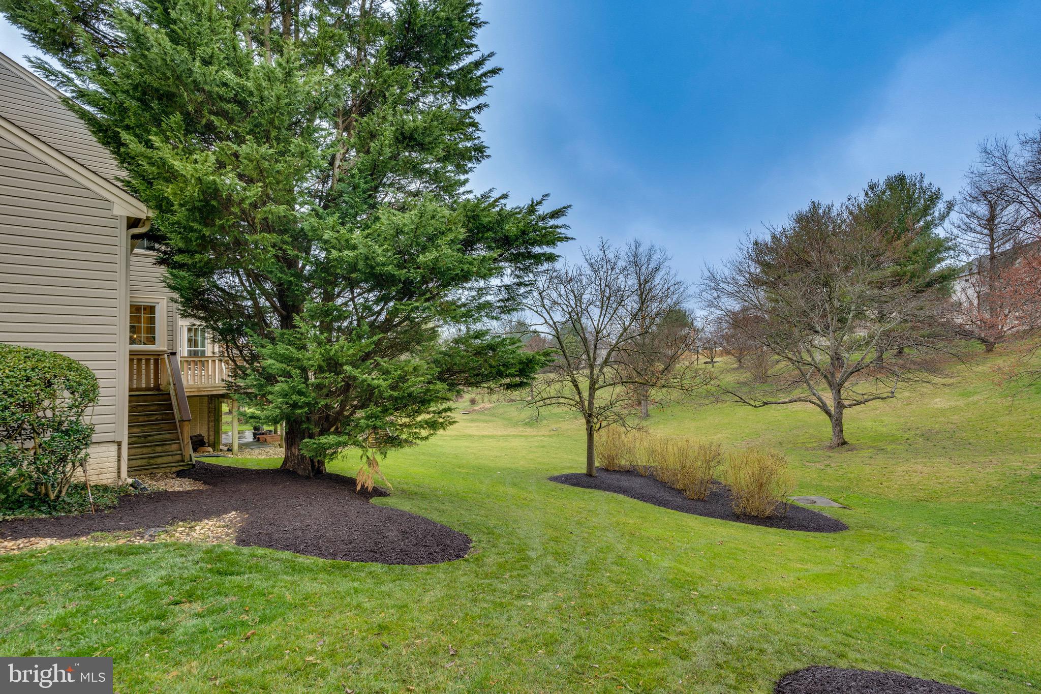 WOLFTRAP MEADOWS - Residential