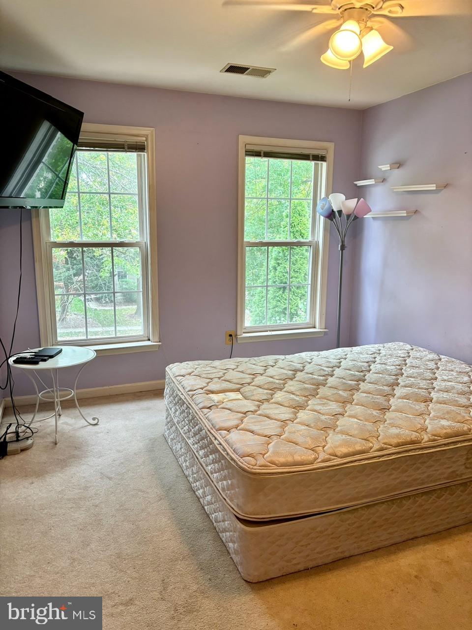 OAK TREE - Residential