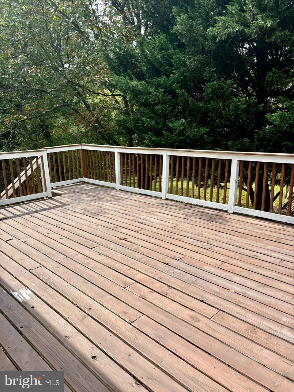 OAK TREE - Residential