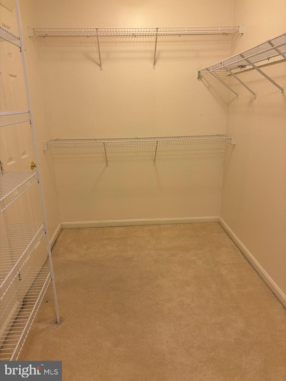 OAK TREE - Residential