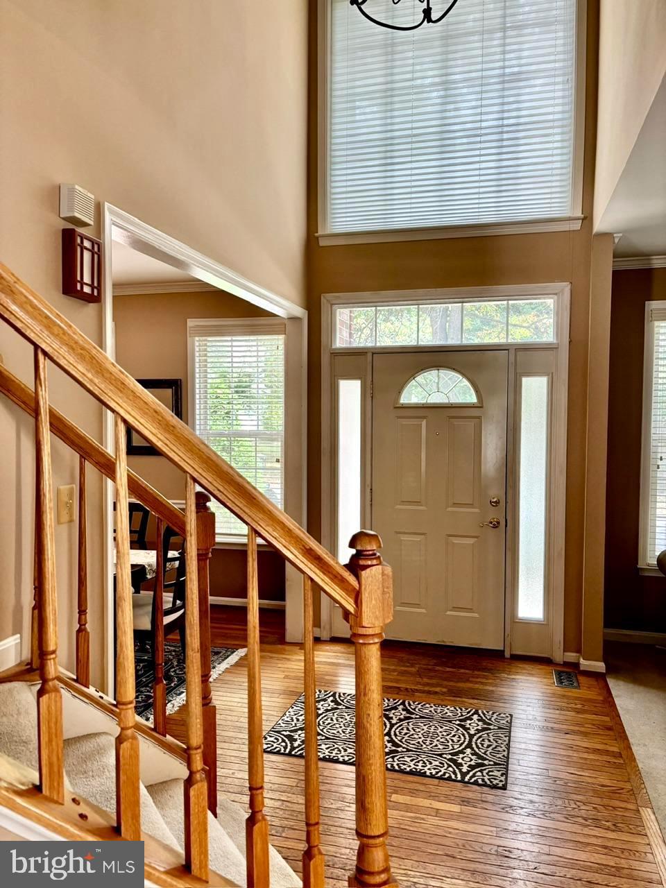 OAK TREE - Residential