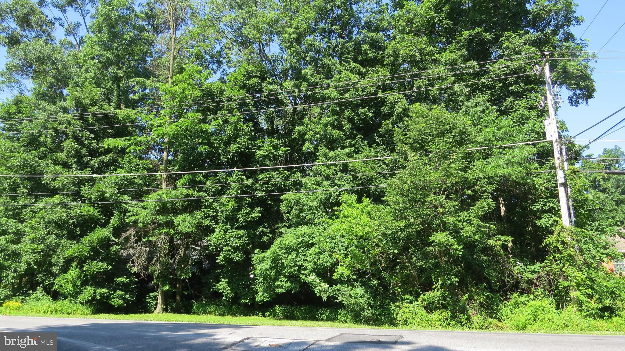 184 LONGSTREET DRIVE