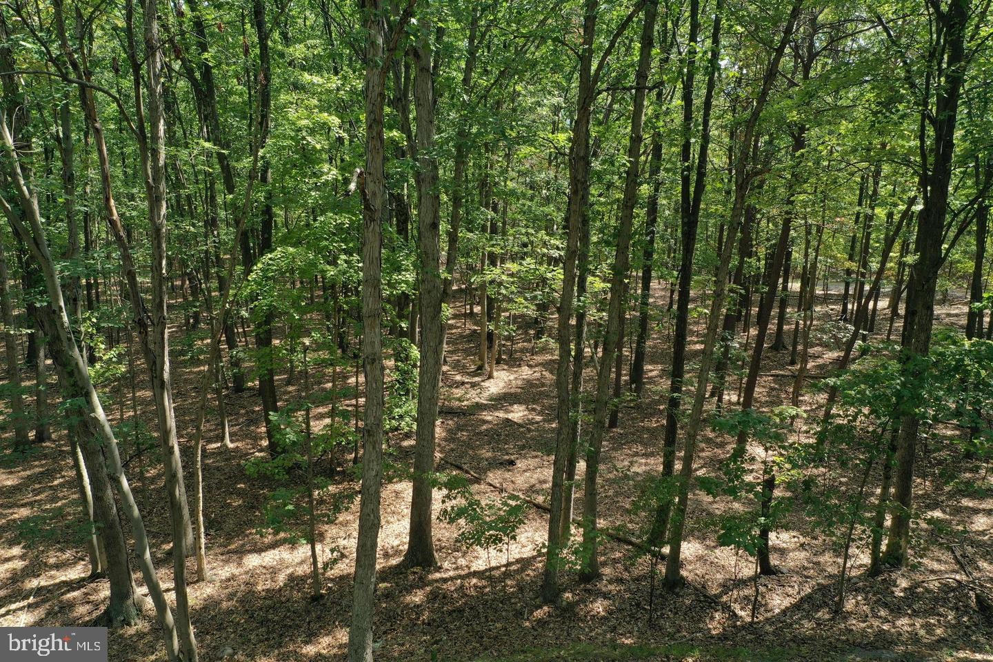 WALNUT RIDGE ROAD