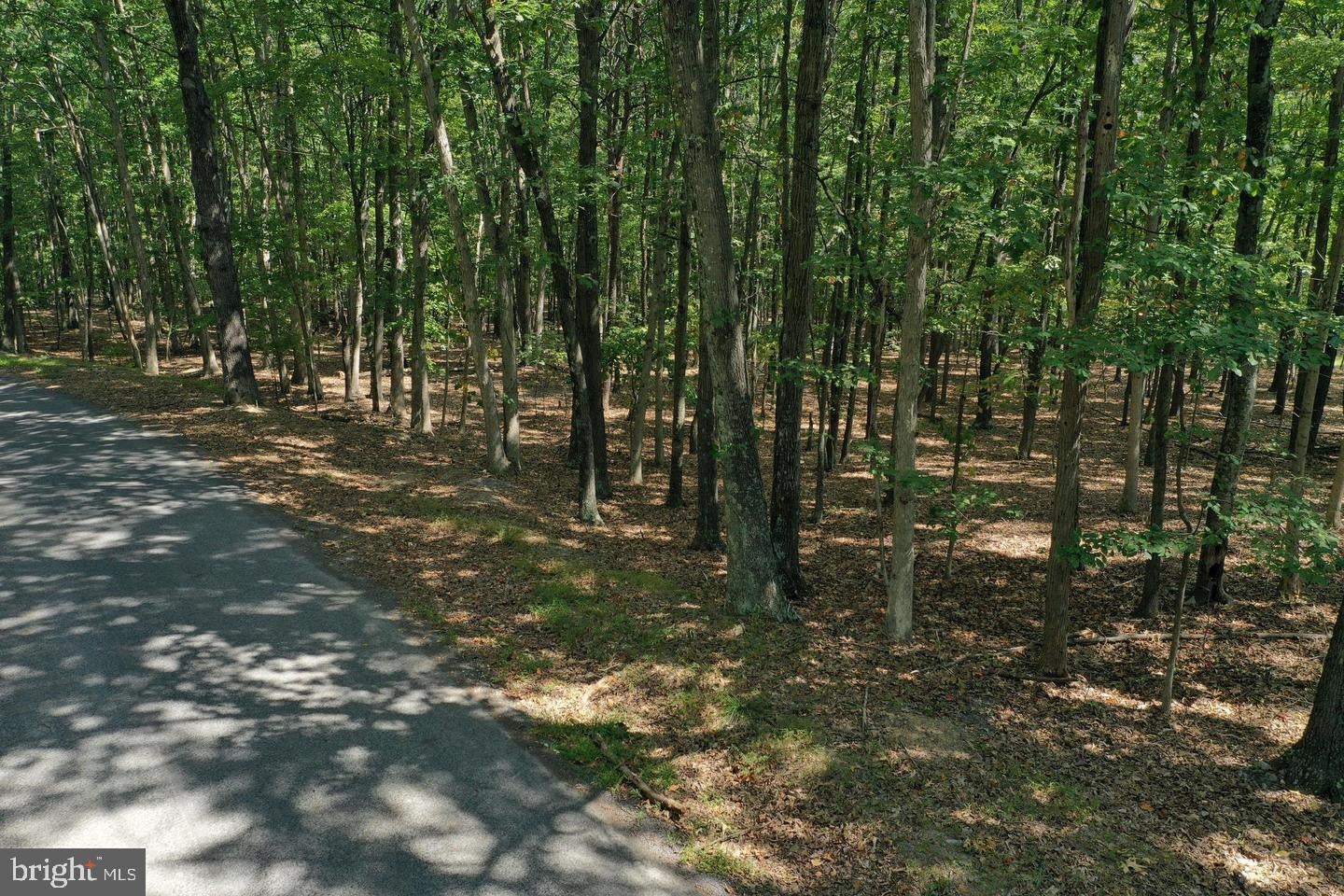 WALNUT RIDGE ROAD