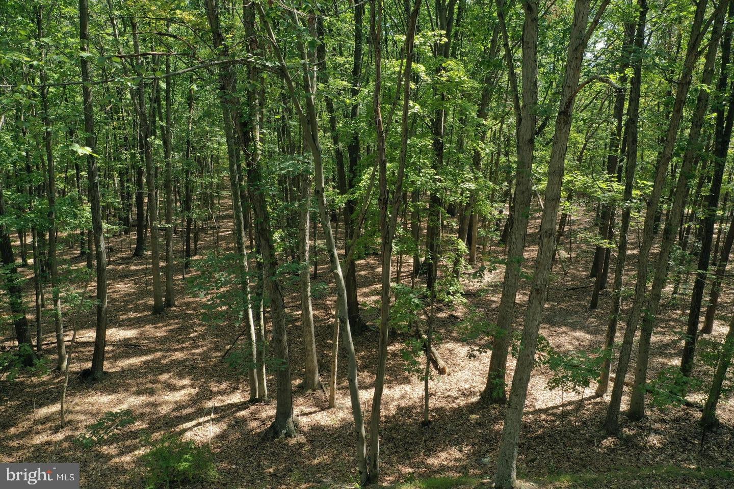 WALNUT RIDGE ROAD