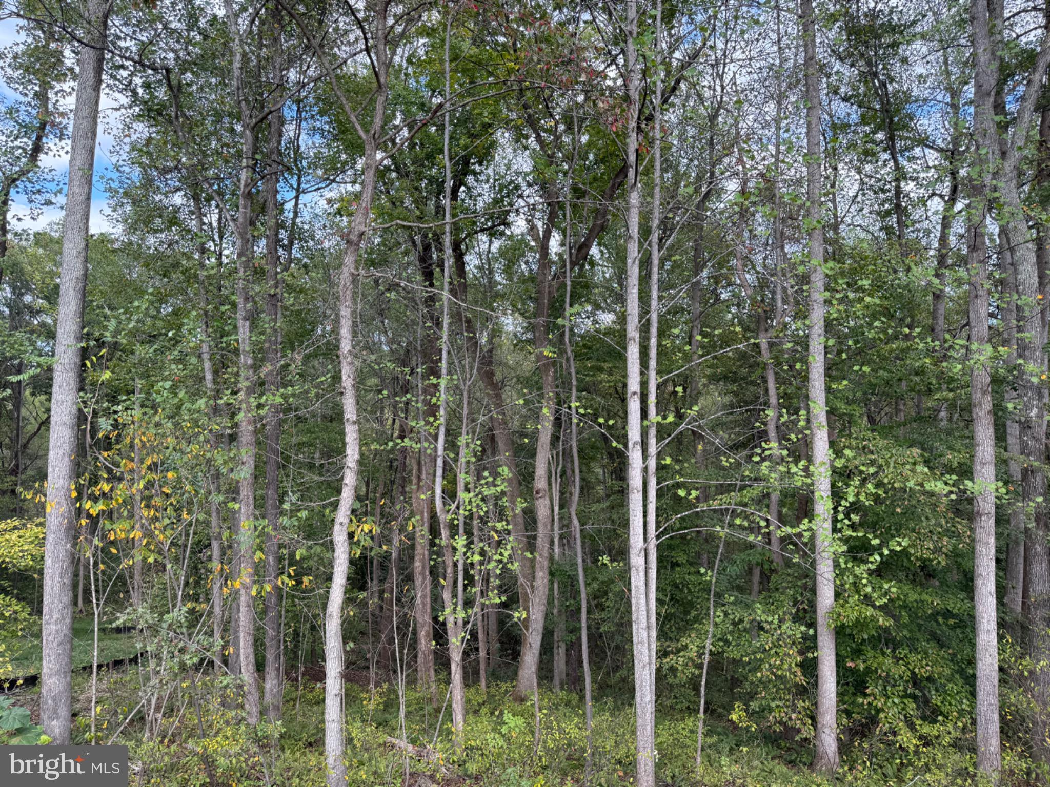 CAMP GEARY ESTATES - Residential