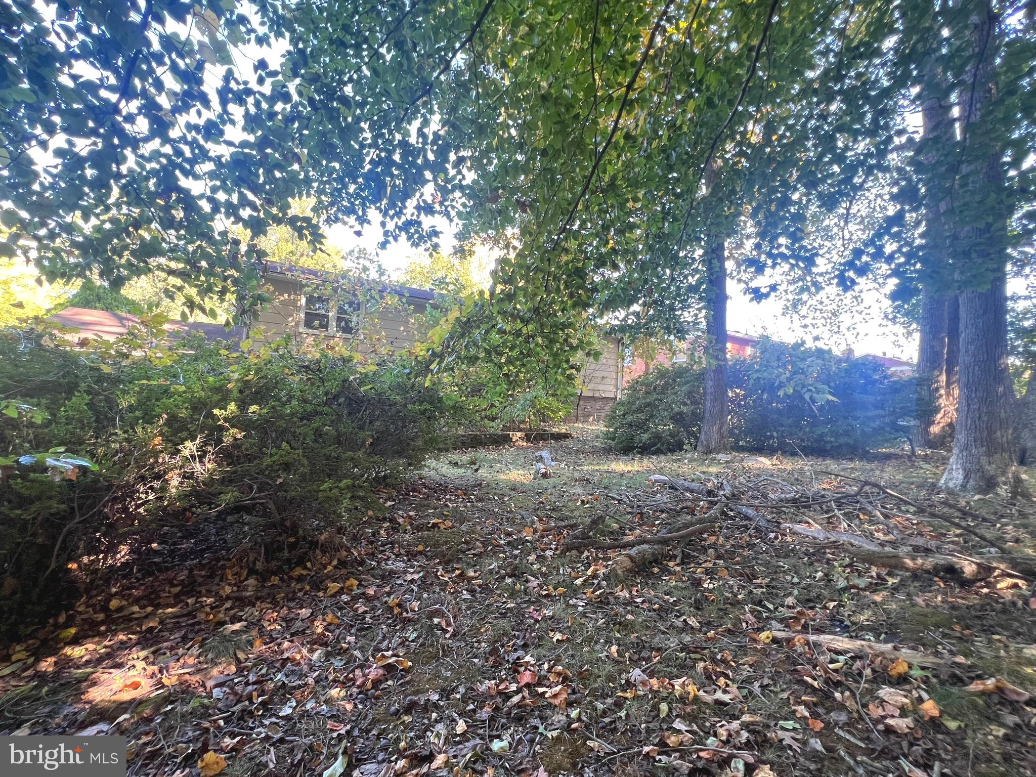 WILLIAMSBURG - Residential