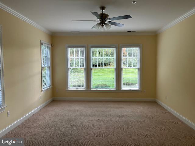 COOKE'S HOPE - Residential