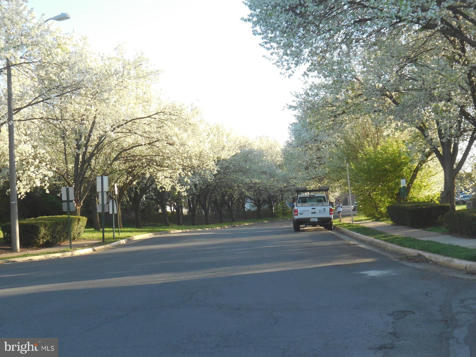 LONGSTREET COMMONS - Residential Lease