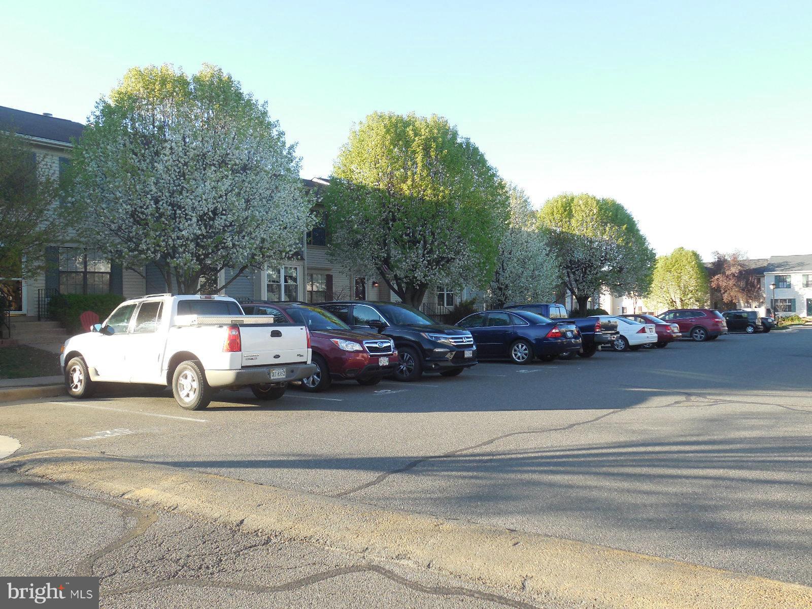 LONGSTREET COMMONS - Residential Lease