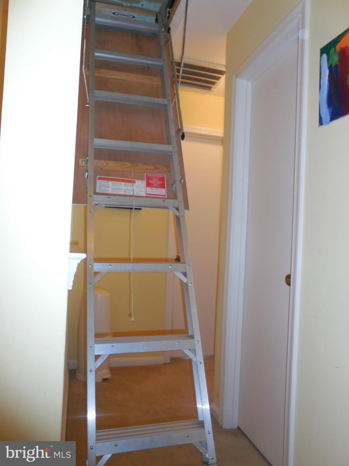 LONGSTREET COMMONS - Residential Lease