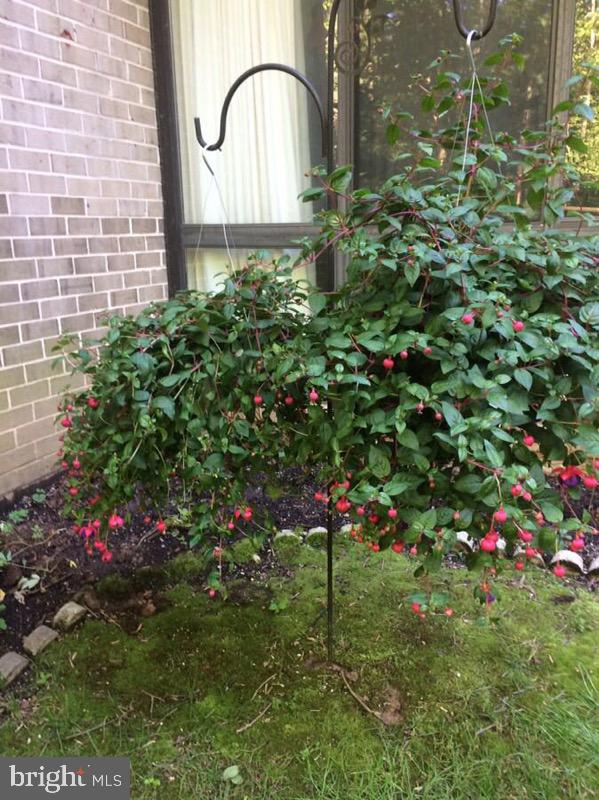 WOODWINDS TWO - Residential