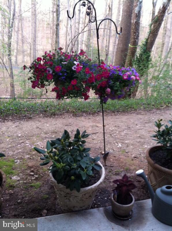 WOODWINDS TWO - Residential