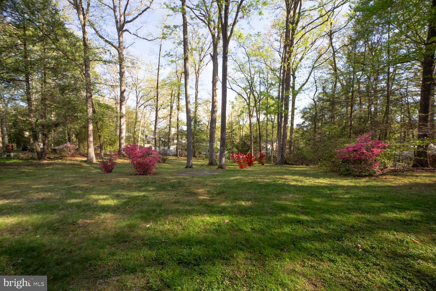 COLLEGE HEIGHTS ESTATES - Residential