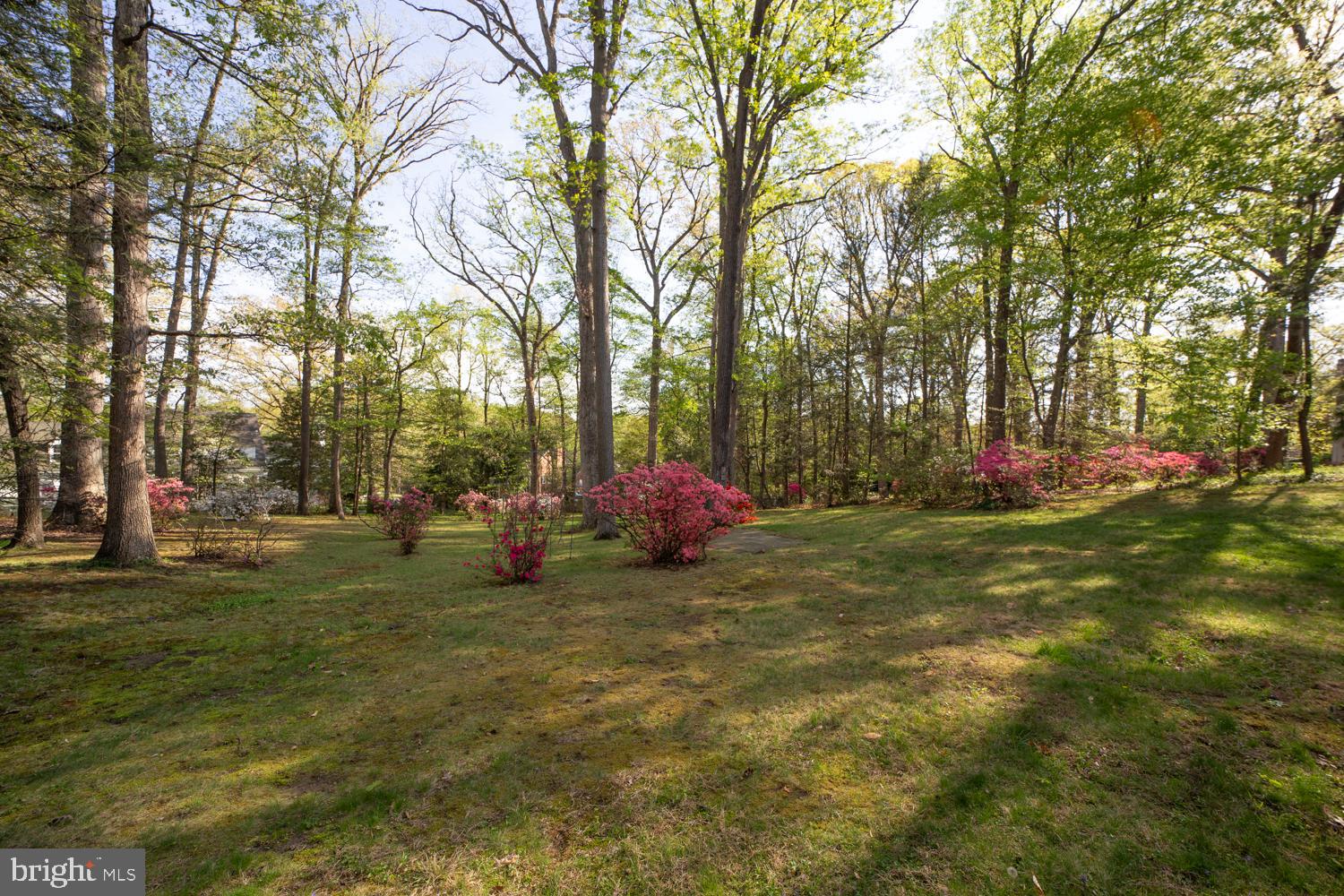 COLLEGE HEIGHTS ESTATES - Residential