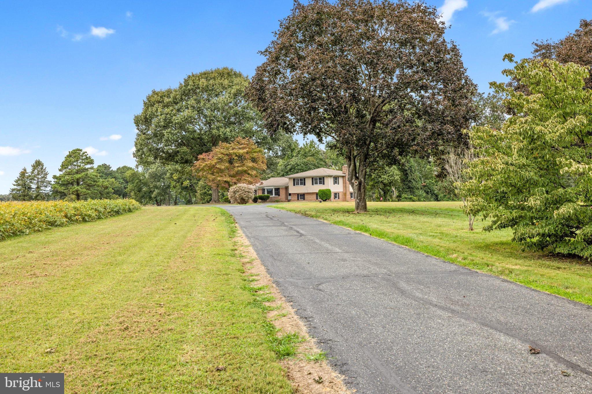 8936 GOLDSBOROUGH NECK ROAD
