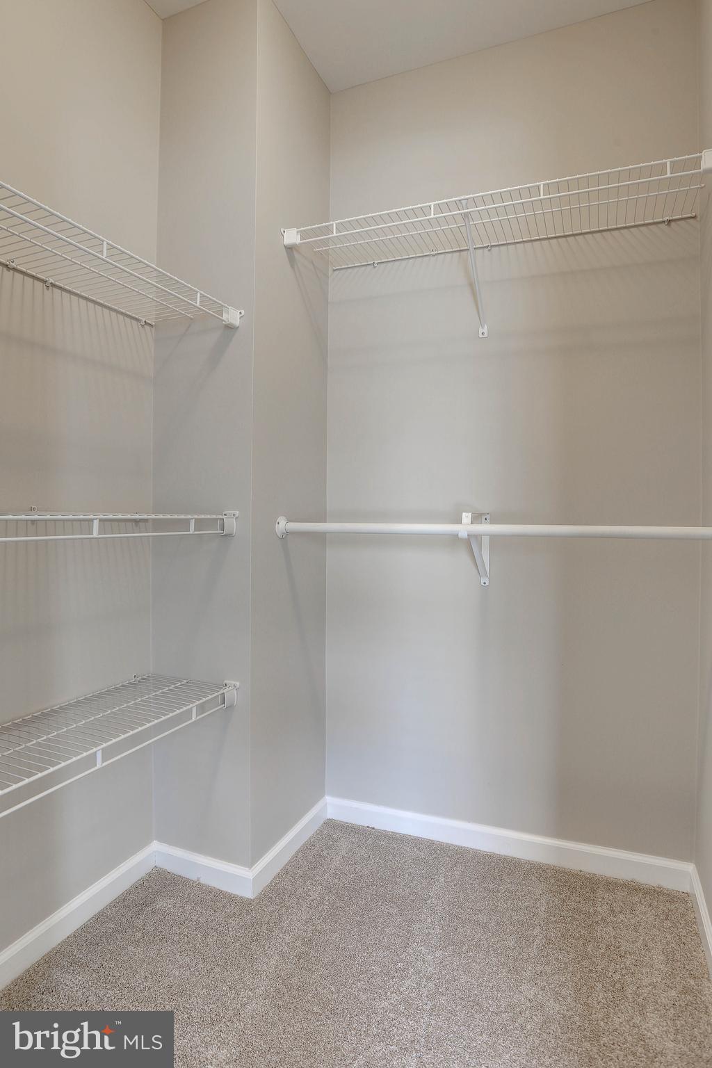 HAMPTON COURT - Residential