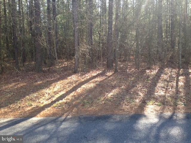 Beautiful wooded Country lot on over 2 acres close to Snow Hill and not too far from Salisbury. This lot is ready to build. Very desirable location.