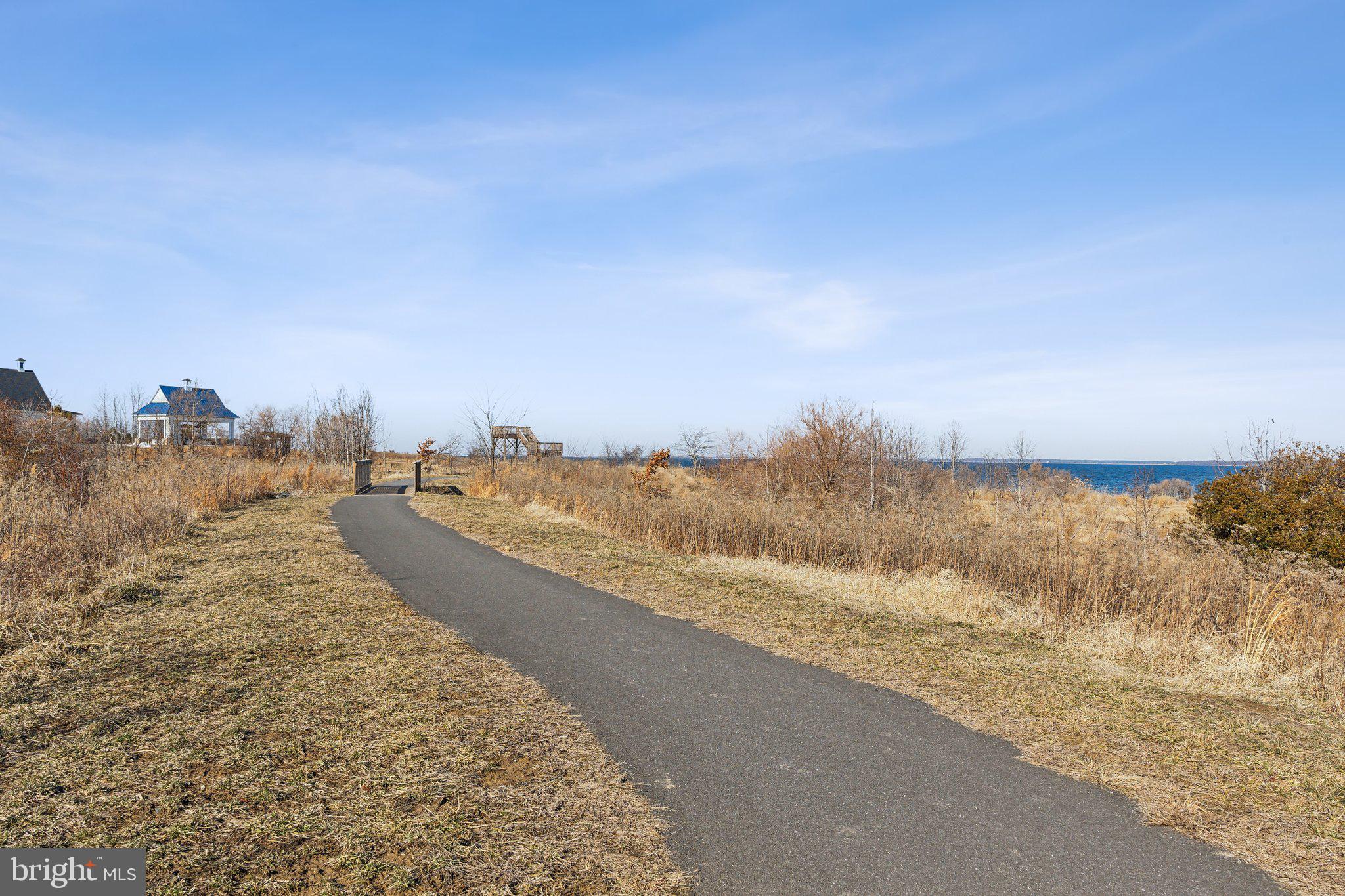 FOUR SEASONS AT KENT ISLAND - Residential