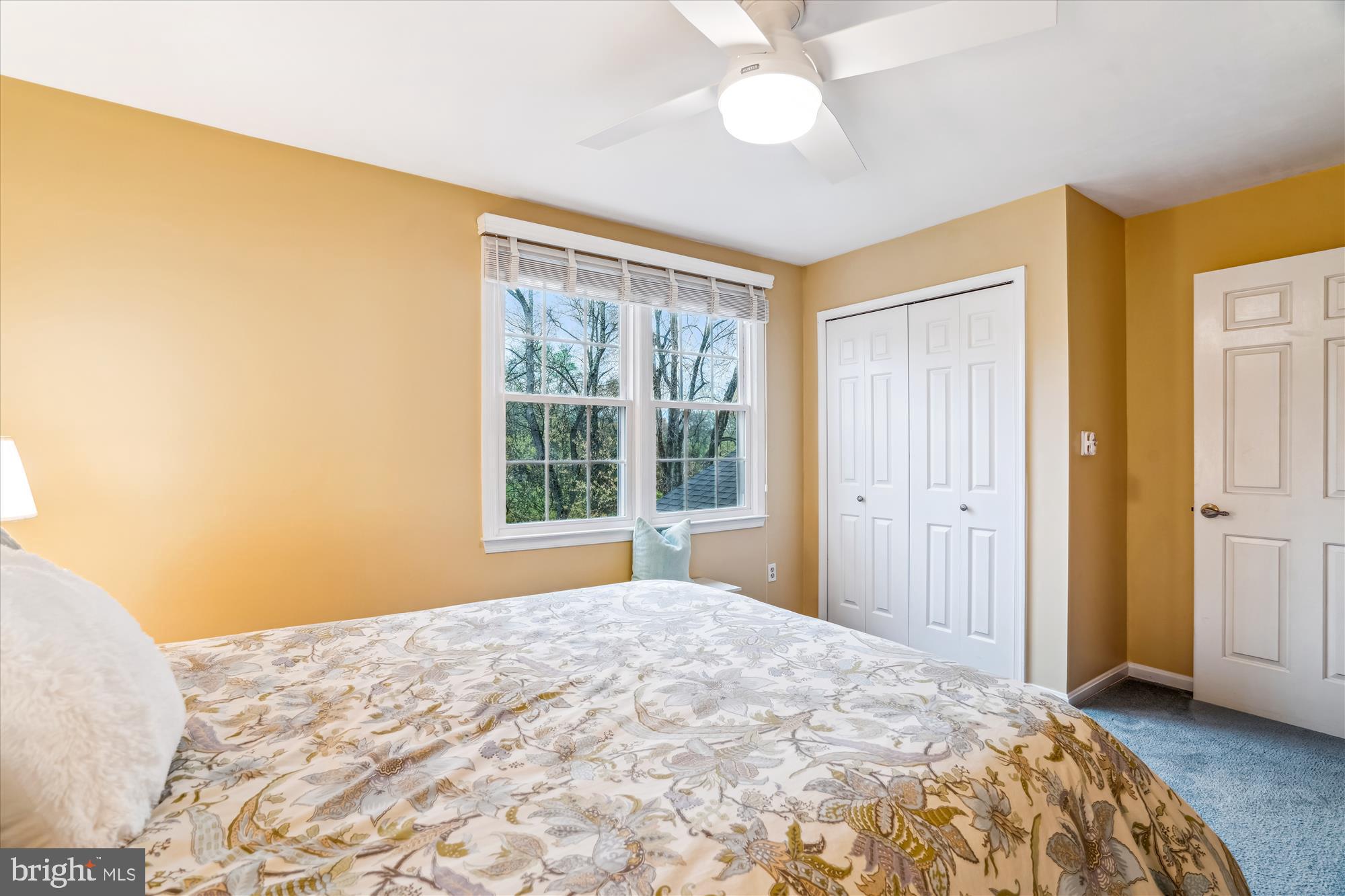 MACGILLS COMMON - Residential