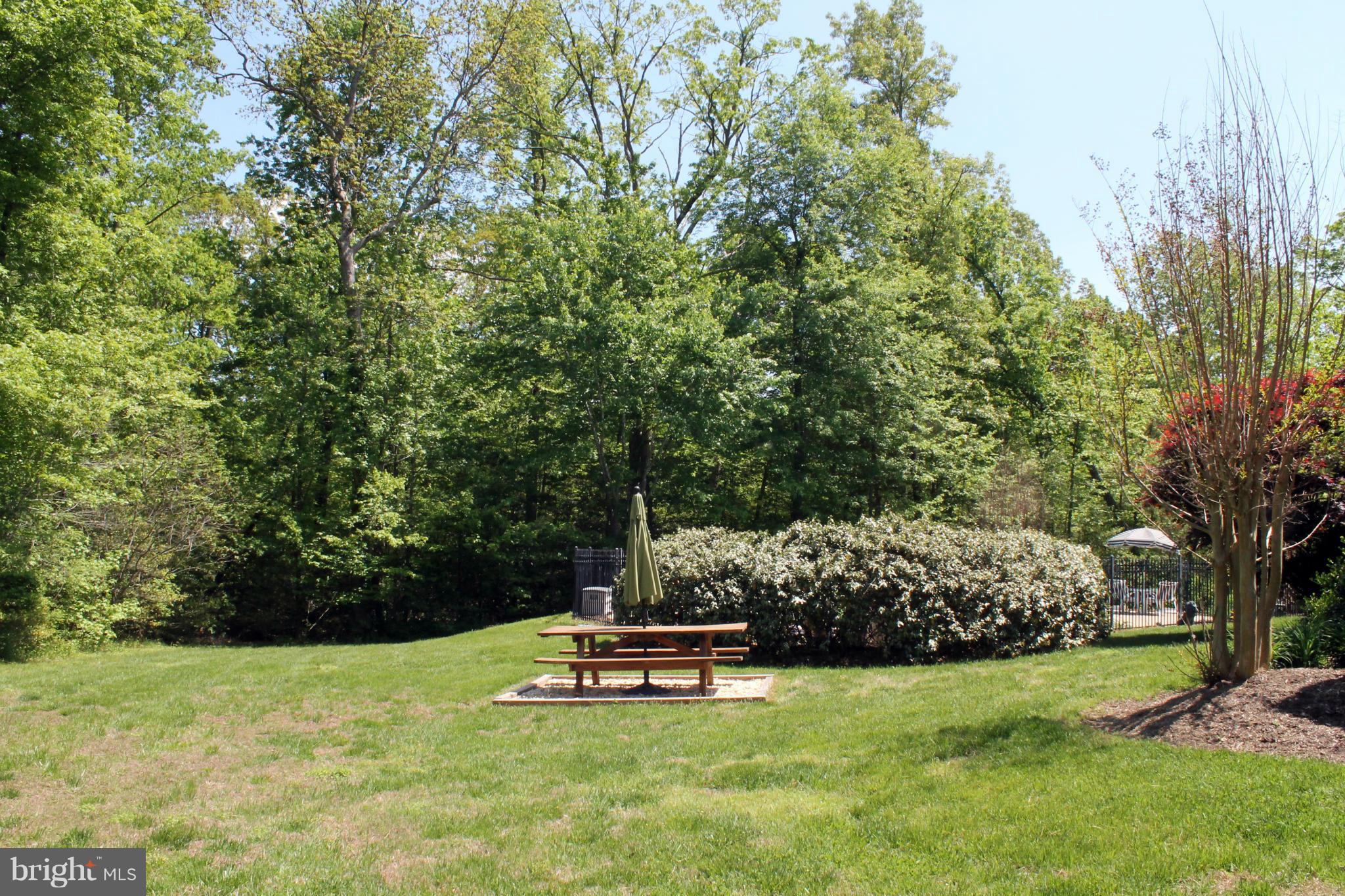 COX'S RUN - Residential