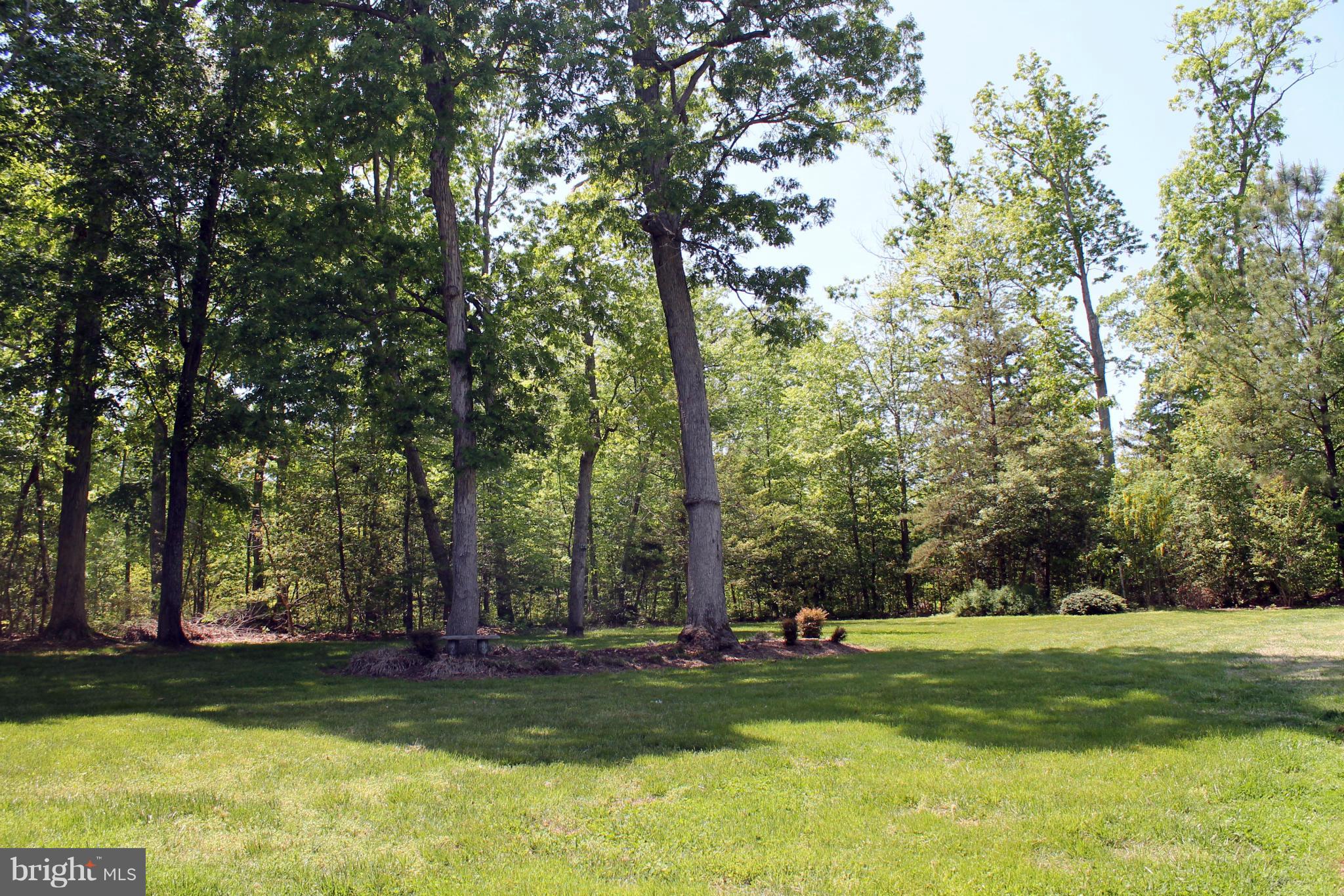 COX'S RUN - Residential