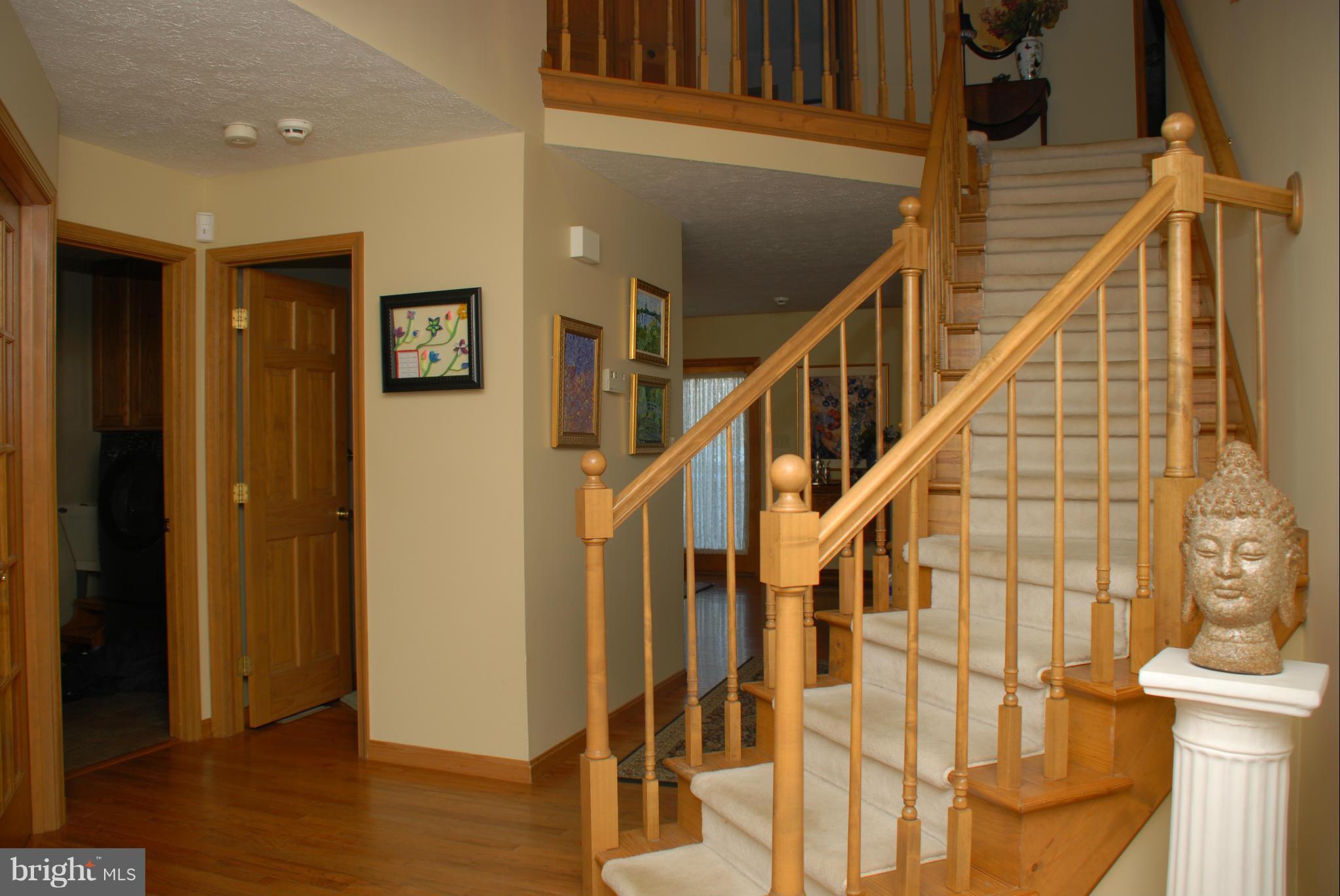 COX'S RUN - Residential