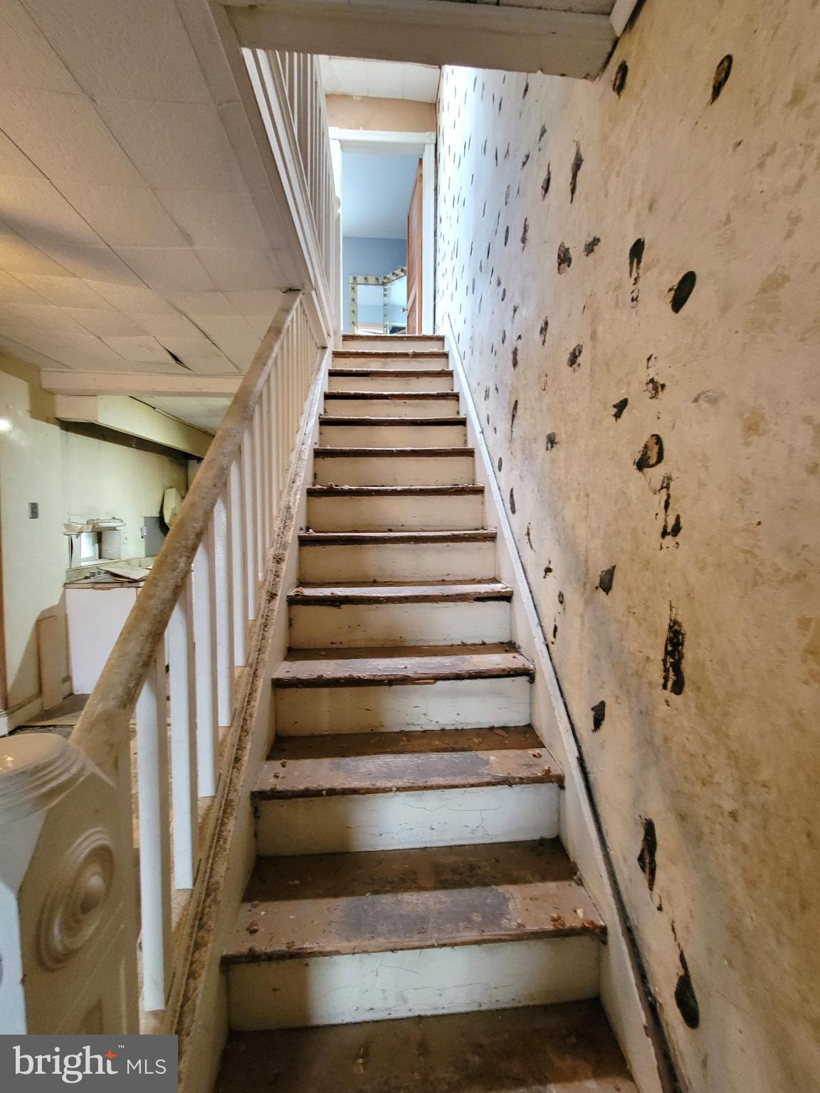 BARTRAM VILLAGE - Residential