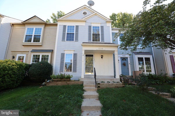 7248 STOVER DR, ALEXANDRIA, VA 22306 - Image 25bcc6b37dca2d4bd952ab45b241657b/3143866874